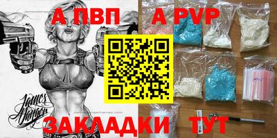 СК Новодвинск