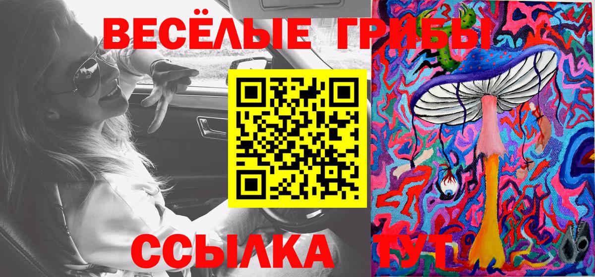 Псилоцибиновые грибы Magic Shrooms  Галлюциногенные грибы ЛСД  Шатура  Вход с VPN 